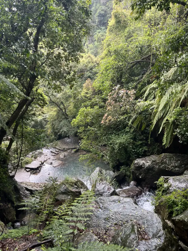 【陽明山国家公園｜大屯瀑布區】森の奥で、ただ水音に耳を澄ます