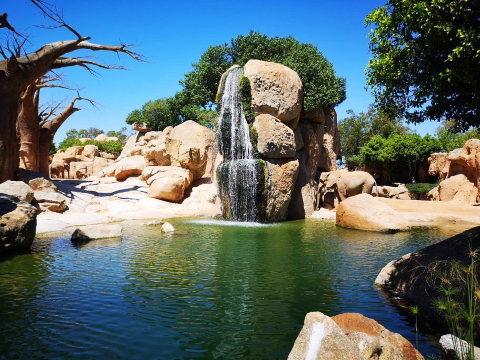 Bioparc Valencia Tickets [2025] Promos, Prices, Reviews