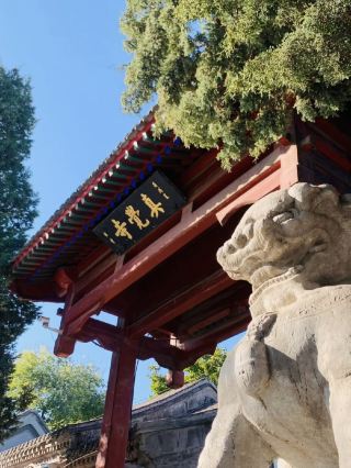 Wuta Temple in Autumn 🍁 The Persimmons Are About to Fall!