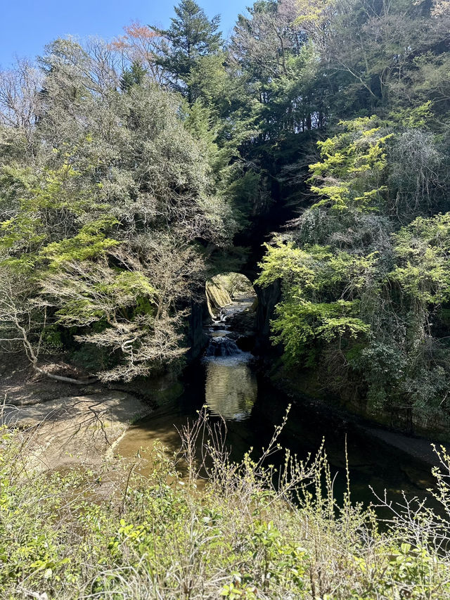 【千葉・鴨川】まるでジブリ