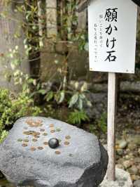 【福井×毛谷黒龍神社】  パワースポットだらけの境内