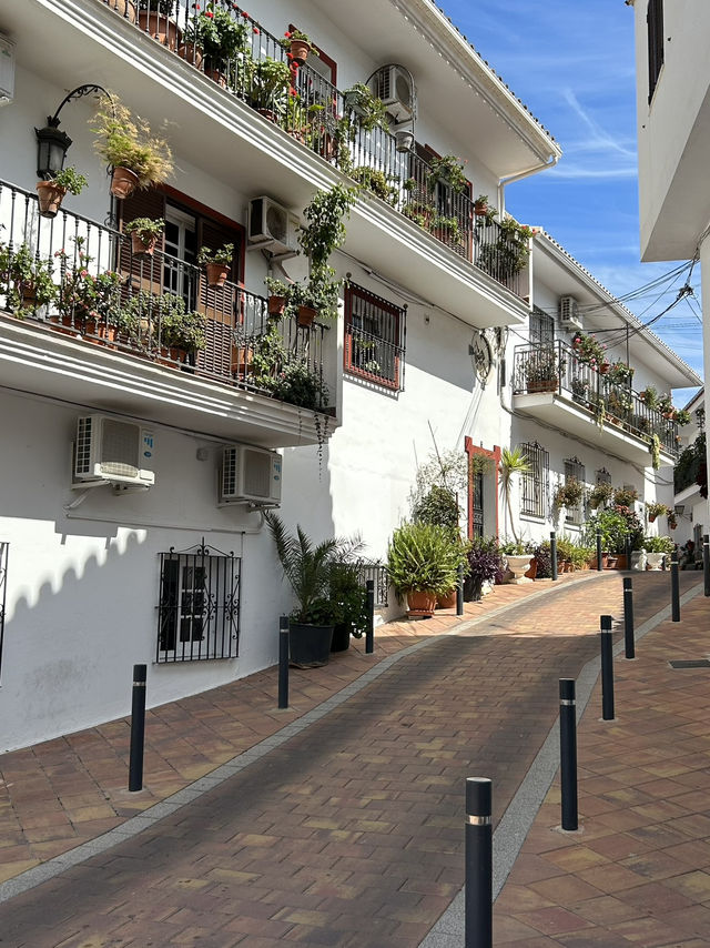 🇪🇸 A hidden gem in Malaga 