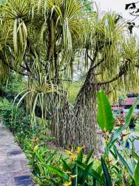 Taman Botani Perdana: Kuala Lumpur’s Sustainable Green Sanctuary 