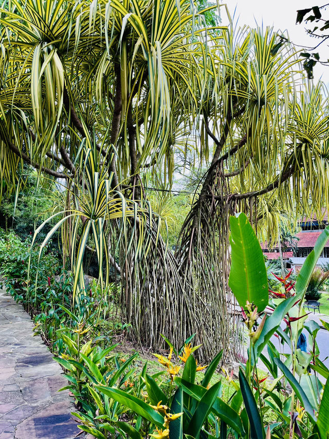 Taman Botani Perdana: Kuala Lumpur’s Sustainable Green Sanctuary 