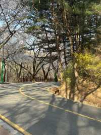 수암골 전망대에서 이어지는 힐링 산책길, 수암골 산책로 🌿
