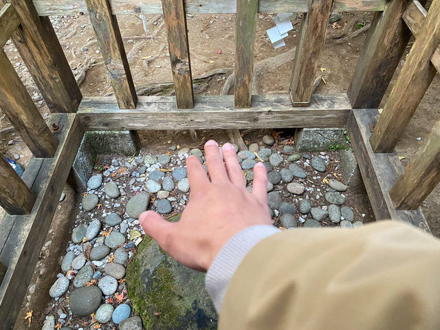 摩訶不思議ミステリー！実際に体感するパワースポット高千穂神社