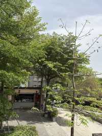 Nantou City @ Shenzhen