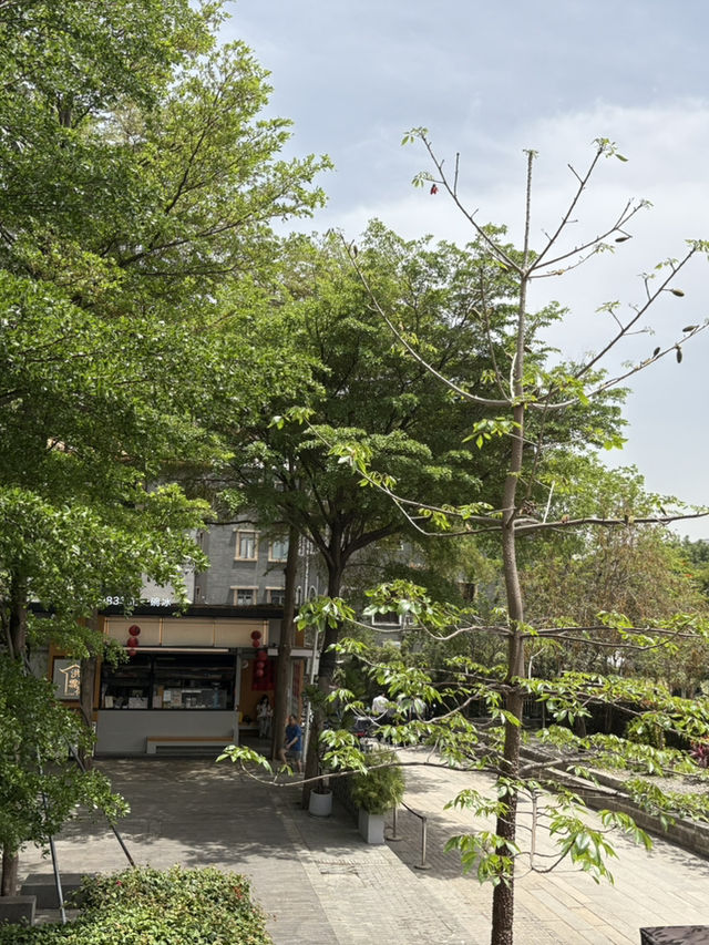 Nantou City @ Shenzhen