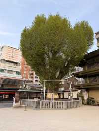 【福岡】「博多祇園山笠」発祥の地✨