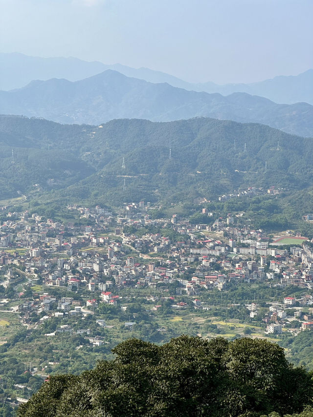 The Living Mountain: A Pilgrimage Through Qingshuiyan's Ecological Sanctuary