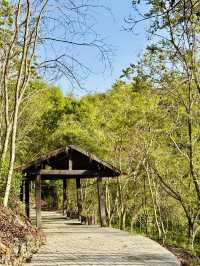 牛埔泥岩水土保持教學園區：從月世界到夢幻綠洲的奇幻旅程