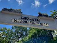 A real insider review: Komodo island, 4D3N itinerary
