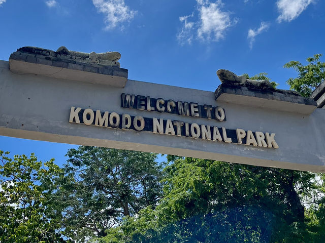 A real insider review: Komodo island, 4D3N itinerary  A real insider review: Komodo island, 4D3N itinerary