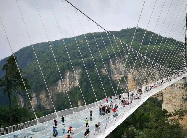 Stunning view relaxed at Zhangjiajie Grand Canyon Glass Bridge
