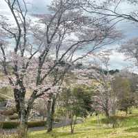 Shizumine Furusato Park, Ibaraki