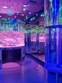 “Aquaria KLCC — Dive Into an Underwater World in the Heart of Kuala Lumpur”
