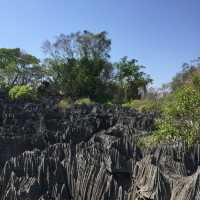 走進另一個世界｜Tsingy De Bemaraha National Park