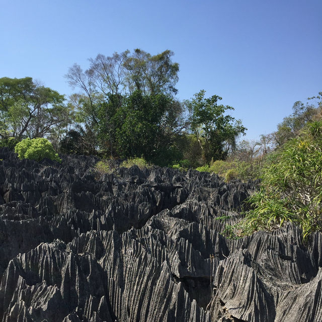 走進另一個世界｜Tsingy De Bemaraha National Park