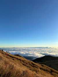 Sea of Clouds in the Morning Light