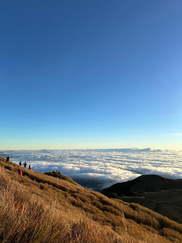 Sea of Clouds in the Morning Light