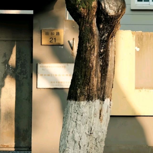 南京頤和路民國建築：免費開放日與咖啡地圖