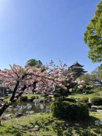 【長野】今だけ!!お城と桜の超穴場スポット