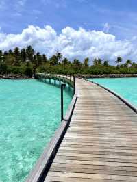 Sculptural Tranquility and Conscious Luxury at Patina Maldives, Fari Islands