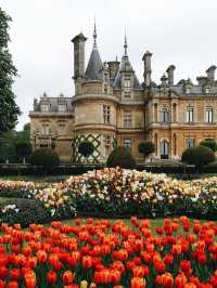 🇬🇧Just 1 Hour from London… Explore the Rothschild Family’s Dreamy Château Garden