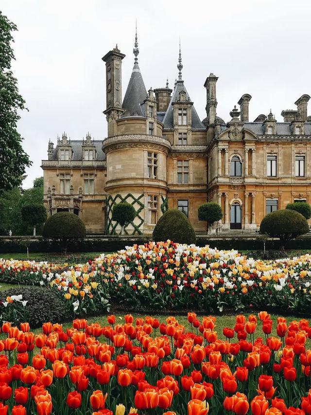 🇬🇧Just 1 Hour from London… Explore the Rothschild Family’s Dreamy Château Garden