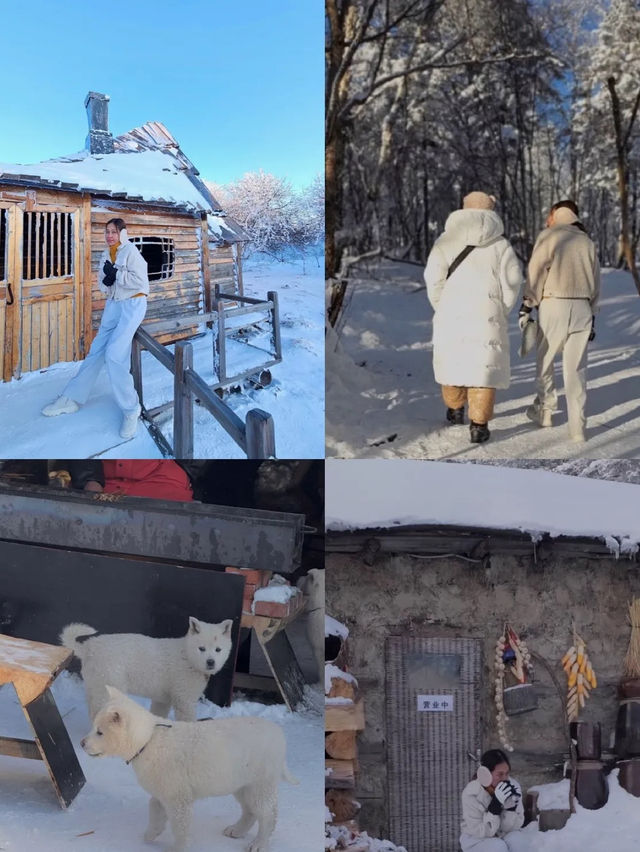 รีวิวฮาร์บิน  Changbai Mountain หรือ snow valley