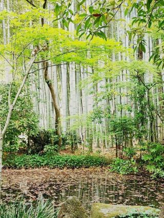 Off the beaten path Tokyo - Taishoji