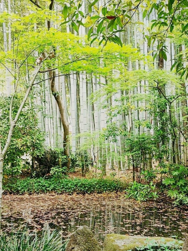 Off the beaten path Tokyo - Taishoji