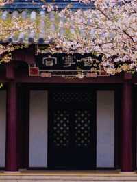Three Kingdoms & Water Margin Town Cherry Blossom