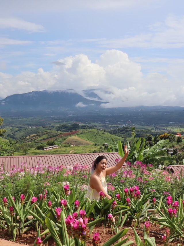 รีวิว เขาค้อ One Day Trip