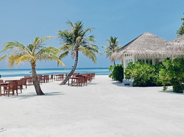 Olhuveli Beach & Spa Resort: A Tropical Paradise🌴