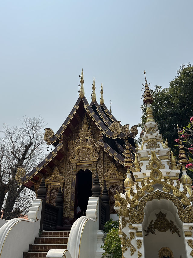 🙏🏻🙇🏻‍♀️ แปะพิกัดสายมู @วัดป่าแดด @เชียงใหม่ ✨