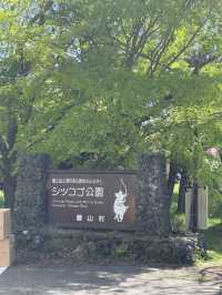春の河口湖一日プラン：マーメイドでランチ→流鏑馬まつり→地元ごはん「ふるや」へ！