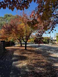 Discover the beauty of Melbourne during Autumn 