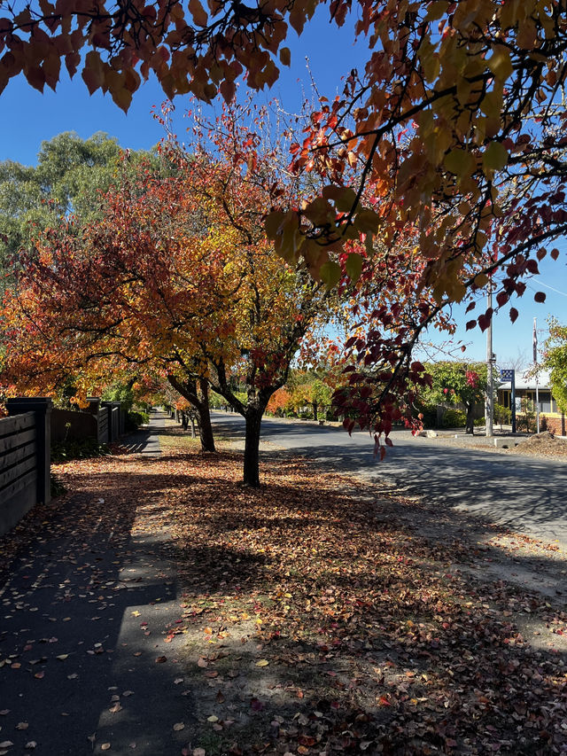 Discover the beauty of Melbourne during Autumn 