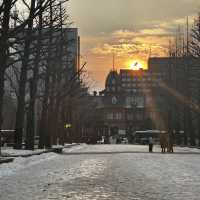 札幌旅行✈️札幌駅徒歩圏内の観光地紹介✨