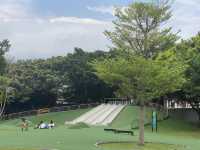 中山公園 花蓮 親子好去處 🍄‍🟫