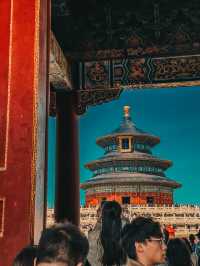  A Walk Through Harmony: Spring Reflections at Temple of Heaven Park
