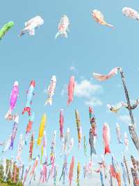 大空を泳ぐ、1000匹の鯉のぼり🎏🫧🩵