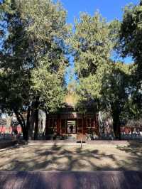 🇨🇳 Forbidden City: Imperial Aura