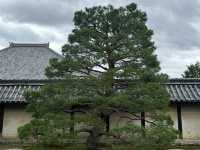 京都天龍寺：穿越時光的禪意之旅，在嵐山竹林中尋找內心的寧靜！