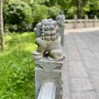 探秘歷史建築與城市風光之美✨深圳龍華大浪日遊⛪️🌴🌊 🛍️