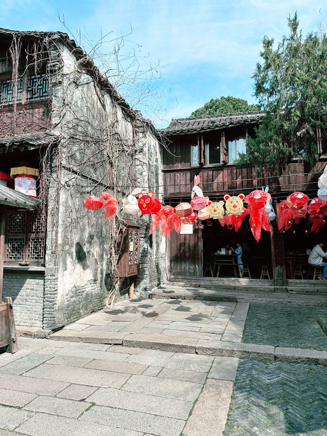 A Spring Escape to Wuzhen: A Journey Through Tranquil Beauty 🌸🚶‍♂️