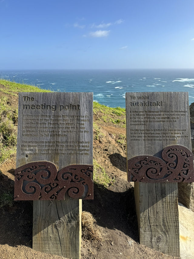 Tip of the North