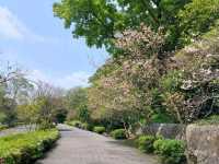 The Stunning views at Yangmingshan National Park, Taipei, Taiwan