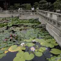 志蓮淨苑及南蓮園池 (Chi Lin Nunnery and Nan Lian Garden) - 寧靜的節慶文化體驗 (Tranquil Festive Cultural Experience)